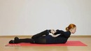 Супер растяжка и гибкость (stretch & flex) 3