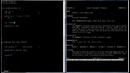 C Programming in Linux Tutorial #080 – Trimming out end spaces in a string