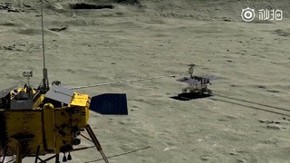Первое растение на Луне: Новости высоких технологий