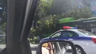 В Ташкенте пассажирский автобус врезался в дерево