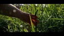Nokia lumia 920 cinemastyle episode