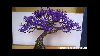 Искусственное дерево бонсай 1(bonsai hokidachi )