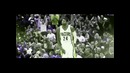 Paul George Career MIX