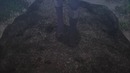 AMV Непутёвый ученик в Школе Магии