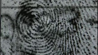 Как работает сканер отпечатков пальцев