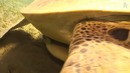 10 Необычных Способов РЫБАЛКИ