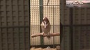 Смех птички Кукабарры