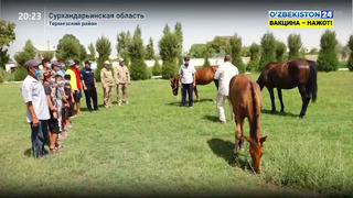 Новости 24 | В Сурхандарьинской области прошло открытие первой Школы мастерства конного спорта