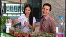 Как быстро и вкусно приготовить коктейль своими руками