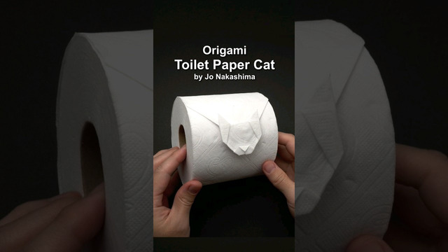 Toilet paper Cat #shorts