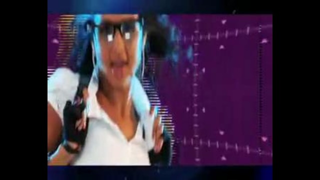 Florida – zoo girls