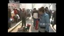 Забавный песик везет повозку