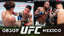 ОБЗОР UFC FN: Брэндон Морено – Лонир Кавана | Марлон Вера, Дэвид Мартинез, Зеллхубер, Кинг Грин