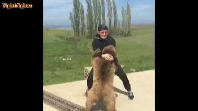 Хабиб Нурмагомедов vs Медведь (спарринг)