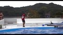 Во зрелище