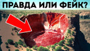 Эта таинственная яма — гигантское живое существо