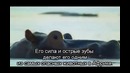 ТОП 10 самых опасных животных в мире
