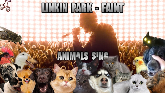 Linkin Park – Faint (Animal Cover)