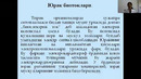 Юрак