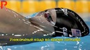Снимки сделанные в нужный момент