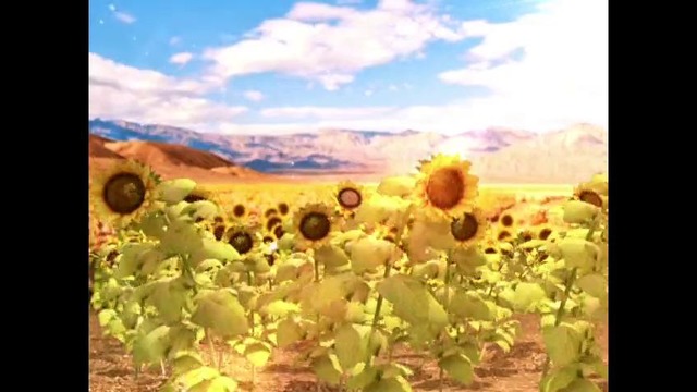 Showreel Ravshan Mirzabekov