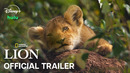 LION | Official Trailer | National Geographic
