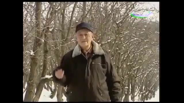 Телепередачи Mening bogim 4