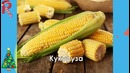 Как выглядели овощи и фрукты, пока человек их не «одомашнил»