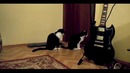 Кошка просит прощения)