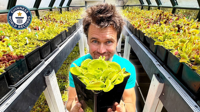 Largest Trap on a Venus Flytrap EVER! | Guinness World Records
