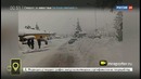 Ежедневный выпуск «Мобильный репортер» на ТК «Россия 24» от 20 января 2017 года