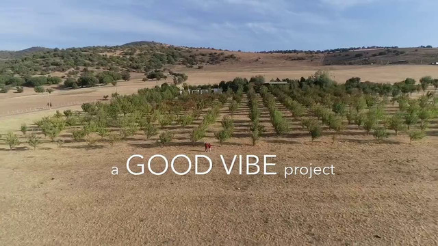 MOUNTAIN GOOD VIBE