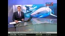 Финалиста Каннского фестиваля съела акула