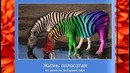 Демотиваторы и Мотиваторы за неделю 2014 (15)