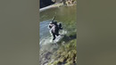 Fight of the century: Kiwi vs Fish