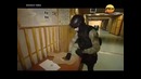 Винторез, ВАЛ, СР 3 Вихрь