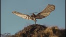 Как развивались технологии за 1,5 минуты