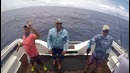Chesterfield Island Huge Dogtooth Tunas
