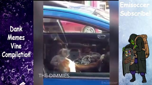 Dank Memes Vine Compilation V13