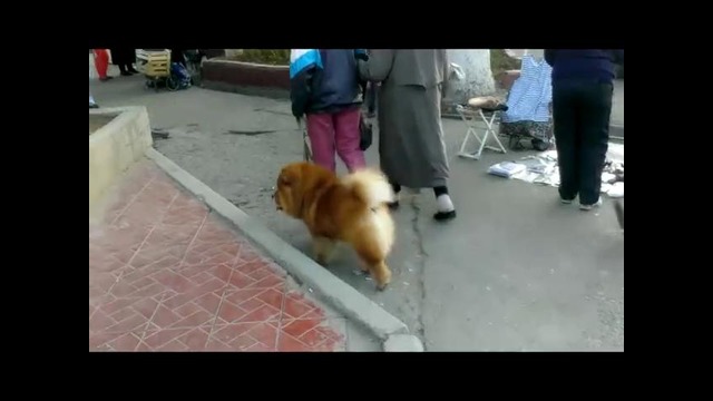 MiD – (1 сезон 2 выпуск)