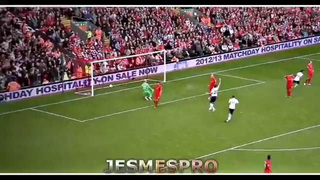 Manchester United Top 10 Best Goals 2013 (HD)