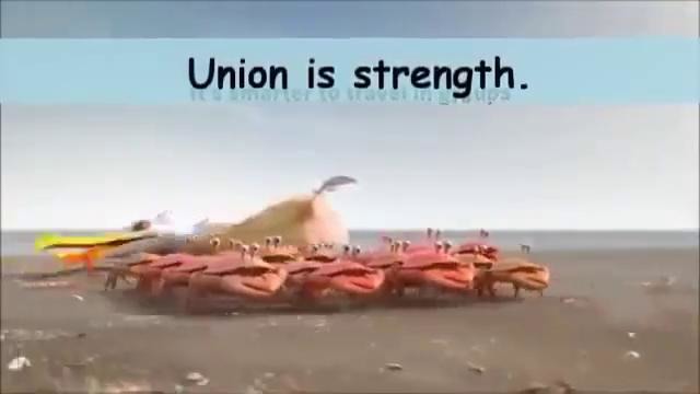 Короткий мультфильм, показывающий силу единства