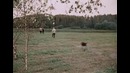 Пес Барбос и необычный кросс. Самогонщики