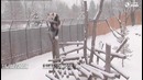 Панда и снег