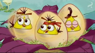 Angry Birds Toons. 5 серия – “Egg sounds”