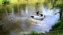 Автомобилисты топят свои машины