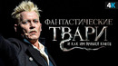 Фантастические твари 3 – Джонни Депп невиновен