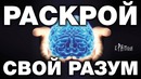 Разум мощнее суперкомпьютера. Инструкция по эксплуатации МОЗГА