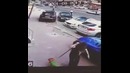 Страшнее кошки зверя нет