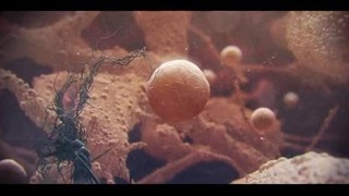 ZombiU Trailer (By Unit Image Studio)